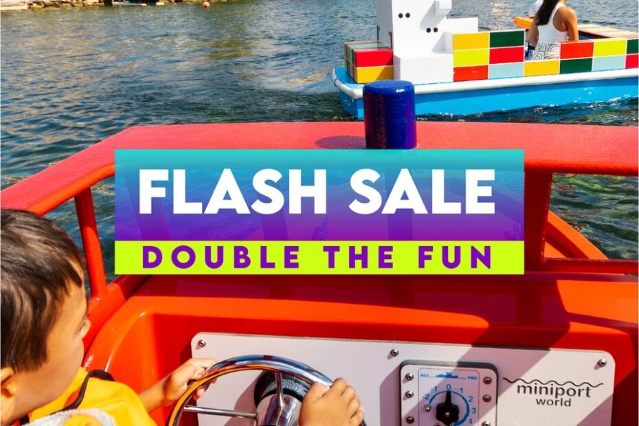 Flash Sale Coupon Mini Waves
