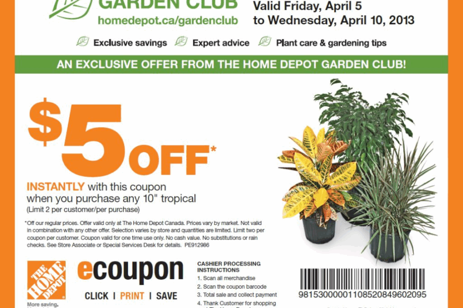 Home Depot Coupons 20 Off Printable Coupons Online Free Printable