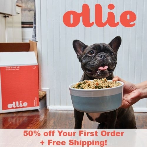 Ollies 20 Percent Off Coupon Printable Printable Word Searches