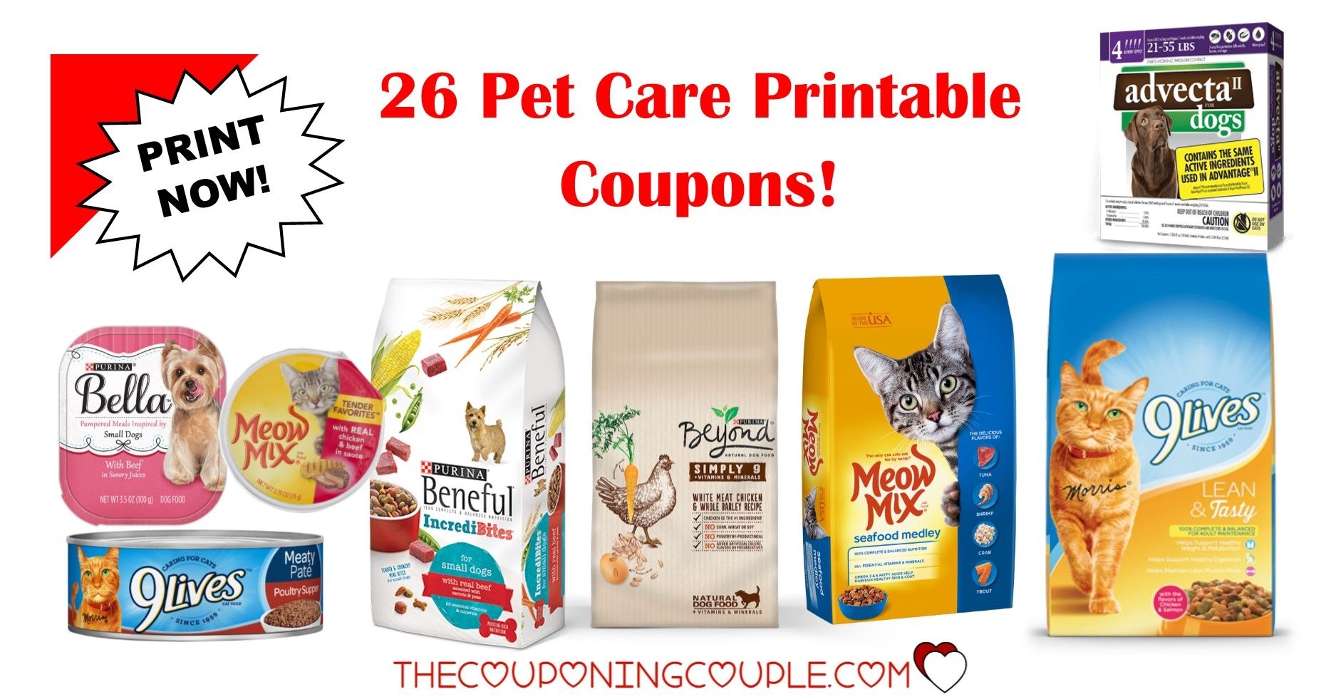 Pet Supermarket Printable Coupons