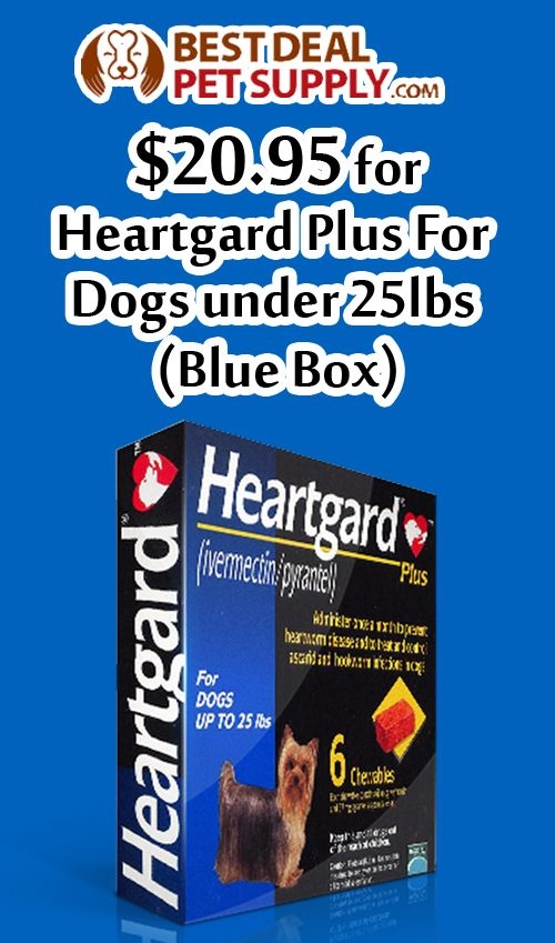 Pet Supplies Plus 10 Off 40 Coupon Printable Usa Printable Calendars 